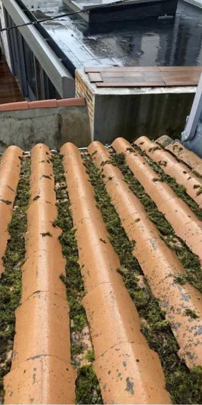 Toiture en tuiles avant et après démoussage : mousse épaisse à gauche, tuiles propres à droite — chantier AC Couvreur